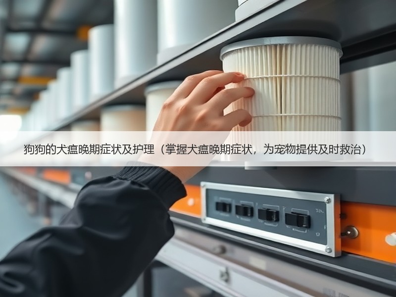 狗狗的犬瘟晚期症状及护理（掌握犬瘟晚期症状，为宠物提供及时救治）
