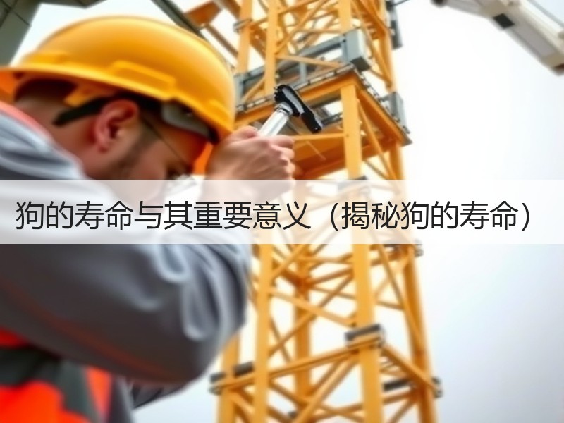 狗的寿命与其重要意义（揭秘狗的寿命）