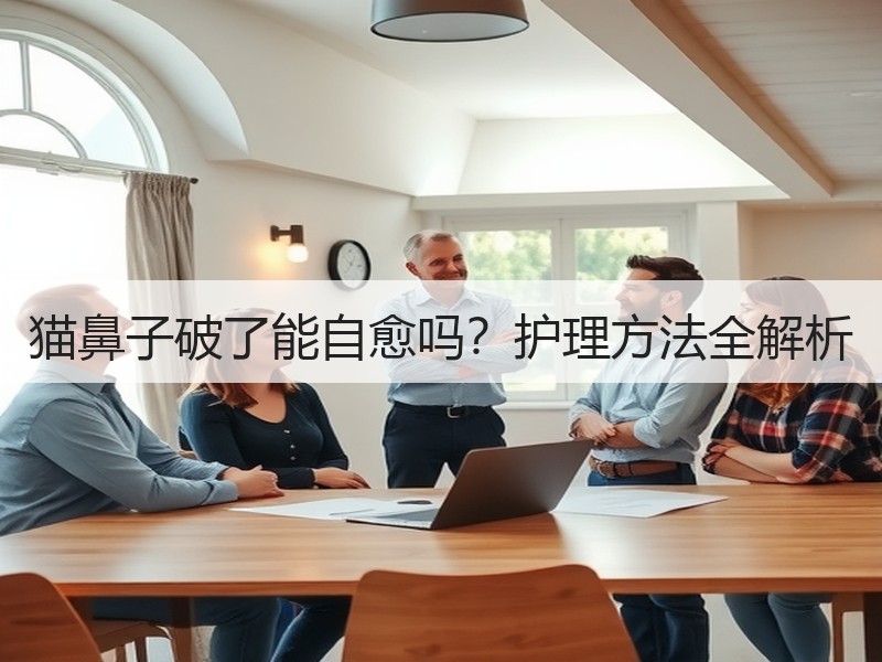 猫鼻子破了能自愈吗？护理方法全解析