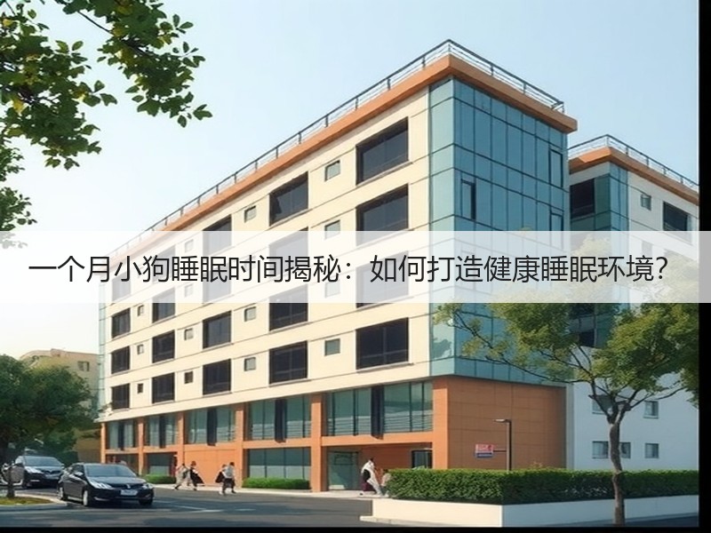 一个月小狗睡眠时间揭秘：如何打造健康睡眠环境？